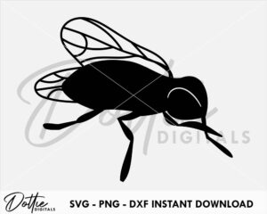 Fly SVG PNG DXF Insect Bug Cutting File Housefly Instant Digital Download Cricut Silhouette Craft File