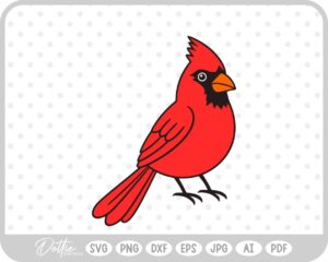 Christmas Cardinal Bird Festive Winter SVG PNG DXF – Cricut Silhouette Cutting File